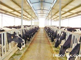 米优app下载安装官方能否用于奶牛牧场保洁